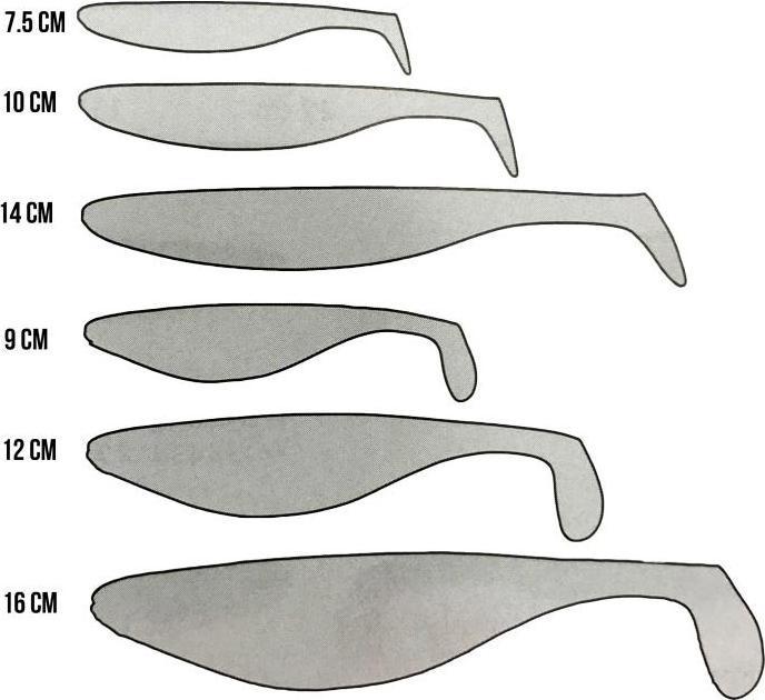Immagine prodotto Westin ShadTeez Roach ufficiale (10 cm)