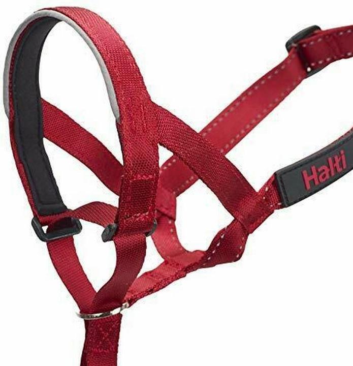 Image du produit Halti Licol pour chien (1, Chien, Général)
