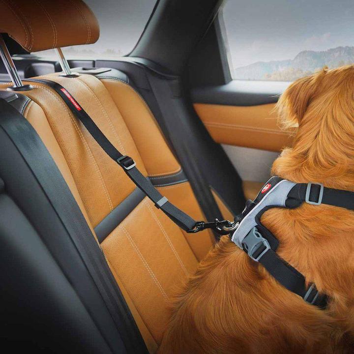 Produktbild EzyDog Click Dog Seat Belt Isofix L - (605.0746) (Hund)