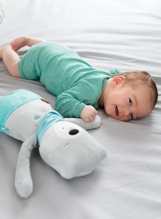 Produktbild MyHummy Premium Plus (24 cm)