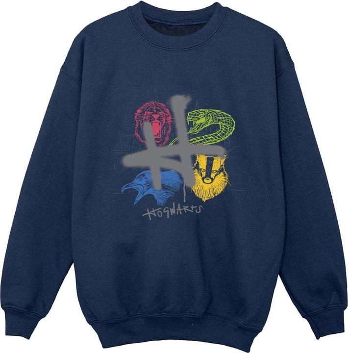Emblems H Spray Sweatshirt Jungen