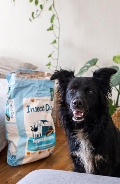 Produktbild Green Petfood Trockenfutter InsectDog Hypoallergen (Adult, 1 Stk., 921 g)