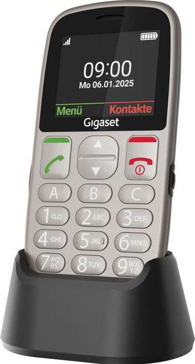 Actual product image Gigaset GL395 silver (2.20", 0.30 Mpx, 2G)