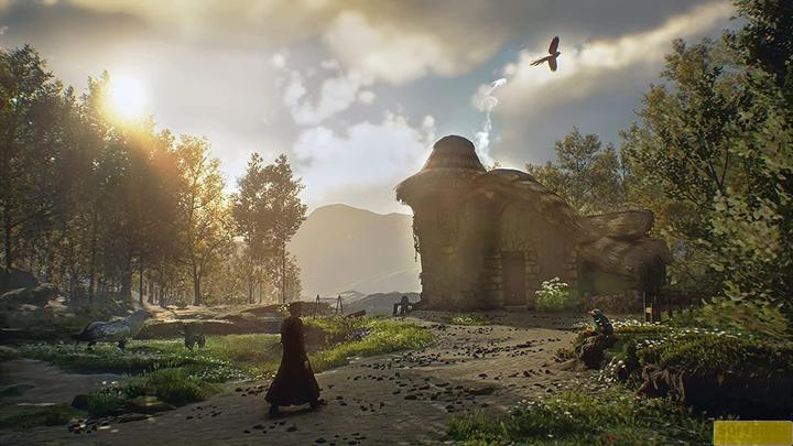 Productafbeelding WB Hogwarts Legacy (PS4, DE)