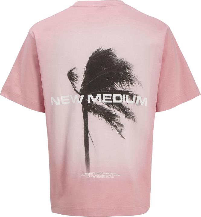 Produktbild Jack & Jones Gedruckt Rundhalsausschnitt T-shirt T-shirt (XXL)