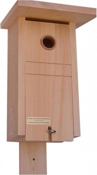 Actual product image Bewo Master Tennis Box