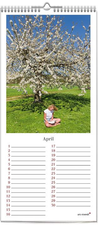 Produktbild Geburstagskalender Lesen, immerwährend (neu) (Deutsch)