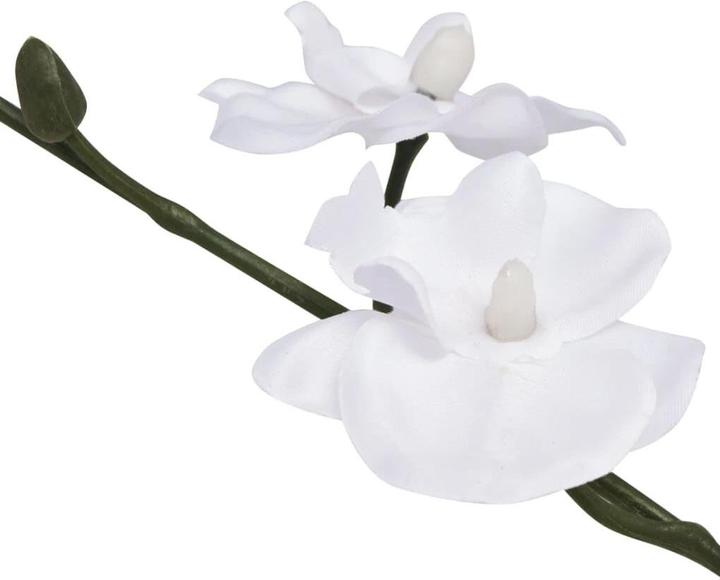 Actual product image VidaXL Emmey (30 cm)