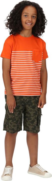 Actual product image Regatta Shorewalk CargoShorts (104)