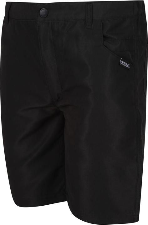 Actual product image Regatta Sorcer Ii Shorts (128)