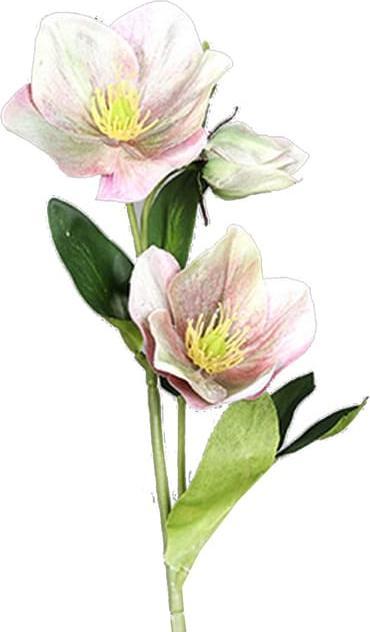 Actual product image DPI Artificial flower - Christmas rose - pink - approx. 33 cm (33 cm)