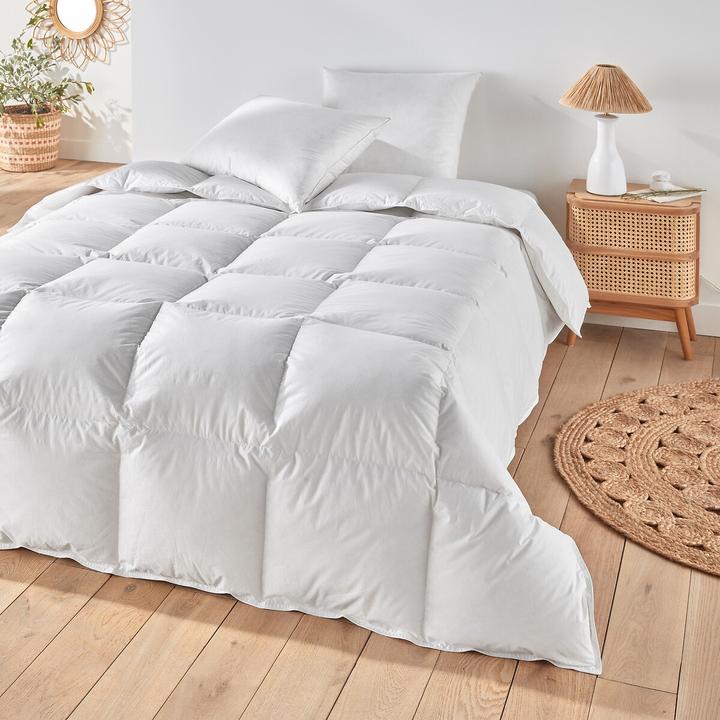 Image du produit La Redoute Interieurs Lri Nature Best (260 x 240 cm)