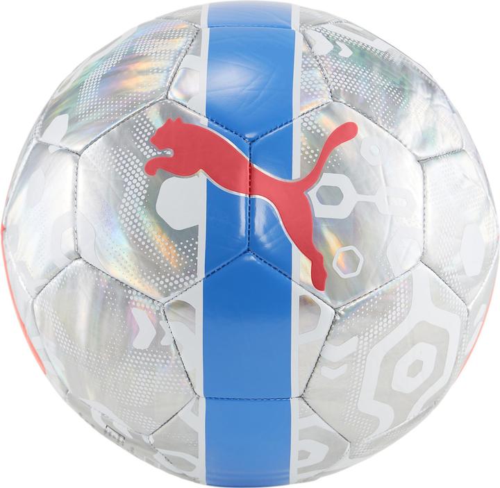 Puma CUP ball (5)