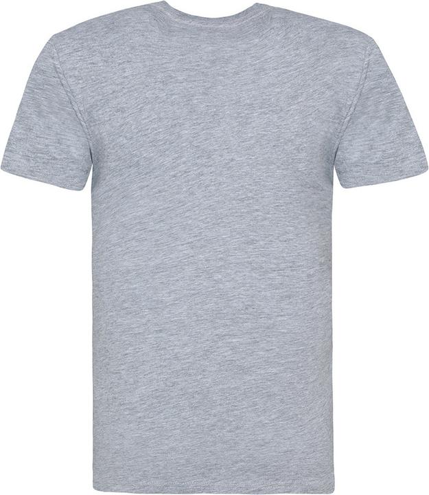 Actual product image Awdis The 100 Tshirt (L)