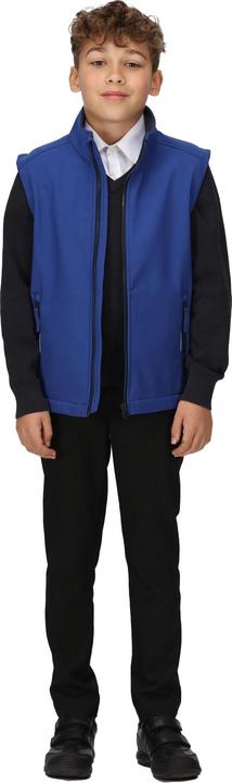 Actual product image Regatta Childrens/Kids Ablaze Softshell Reflective Gilet (140)