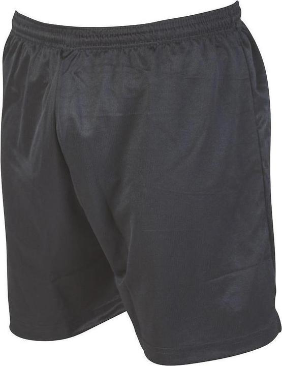 Actual product image Precision Football shorts with MicroStripe (M, L)