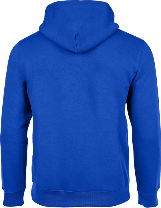 Actual product image Champion Legacy Hoodie (XL)