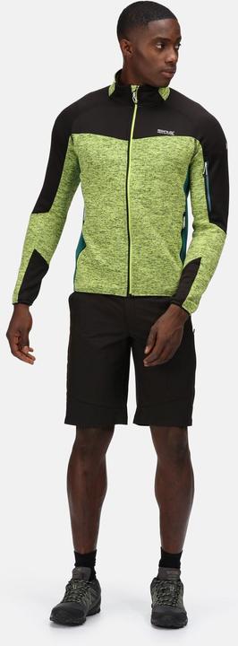 Actual product image Regatta Highton Shorts Hiking (54)