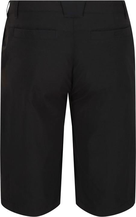 Actual product image Regatta Highton Shorts Hiking (54)