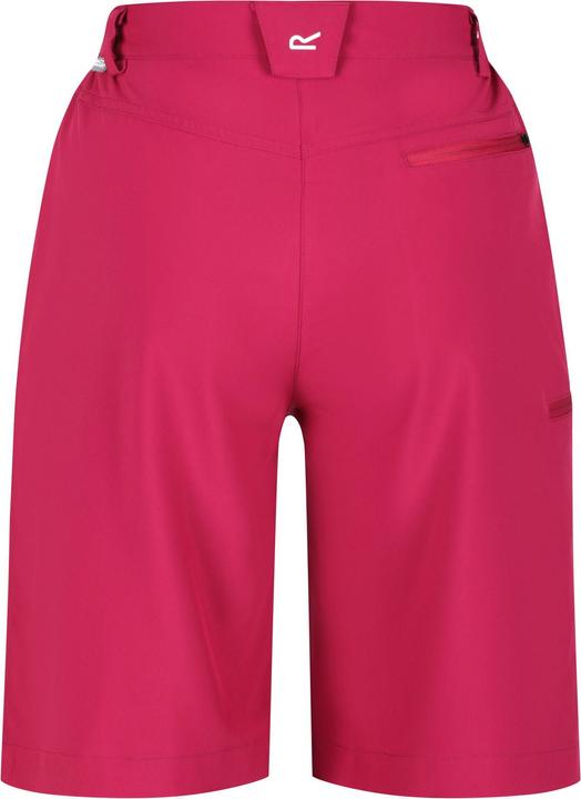 Actual product image Regatta Xert Shorts (34)