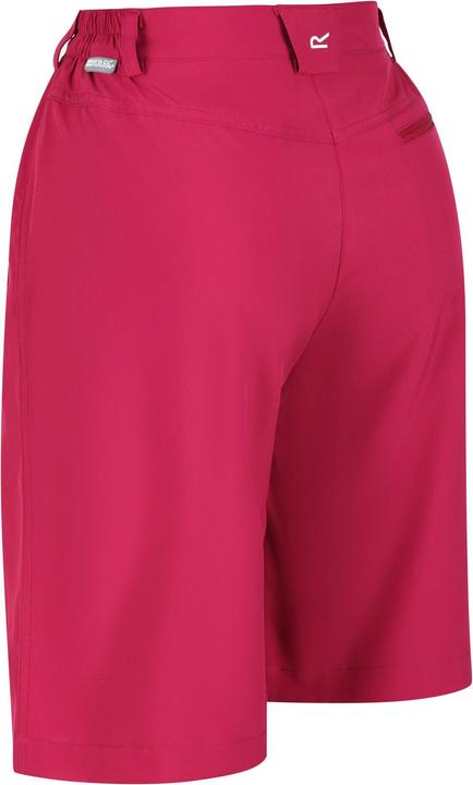 Actual product image Regatta Xert Shorts (34)