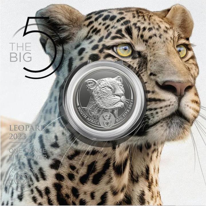 Produktbild South African Mint Silber Leopard 1 oz - Big Five Serie II - 2023 (999, 2023)