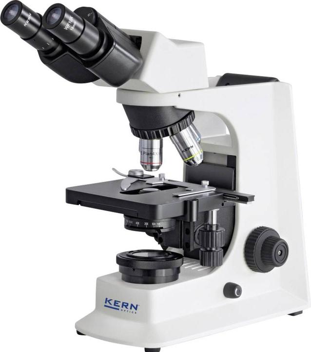 Produktbild Kern OBL 146 - Phasenkontrastmikroskop Binokular