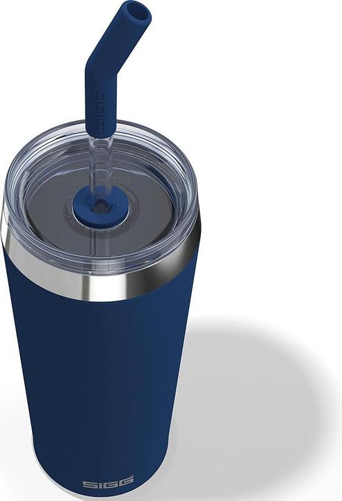 Image du produit Sigg Helia (0.60 l)