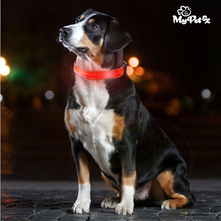 Produktbild BigBuy MY PET EZ LED-Hundehalsband (Hund)