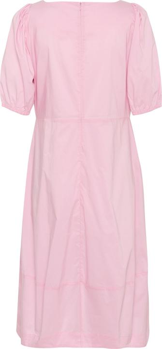 Actual product image Culture Antoinet (XL)