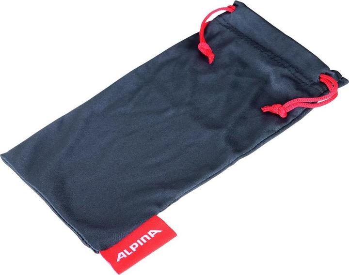 Actual product image ALPINA SPORTS Twist Four VL+ (Black, Transparent)