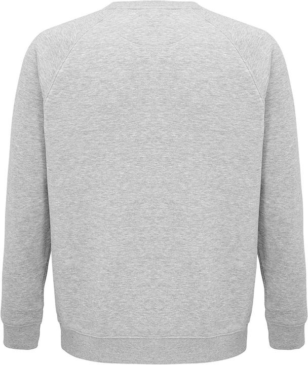 Immagine prodotto Sols Felpa Space in cotone organico con maniche raglan (XL)