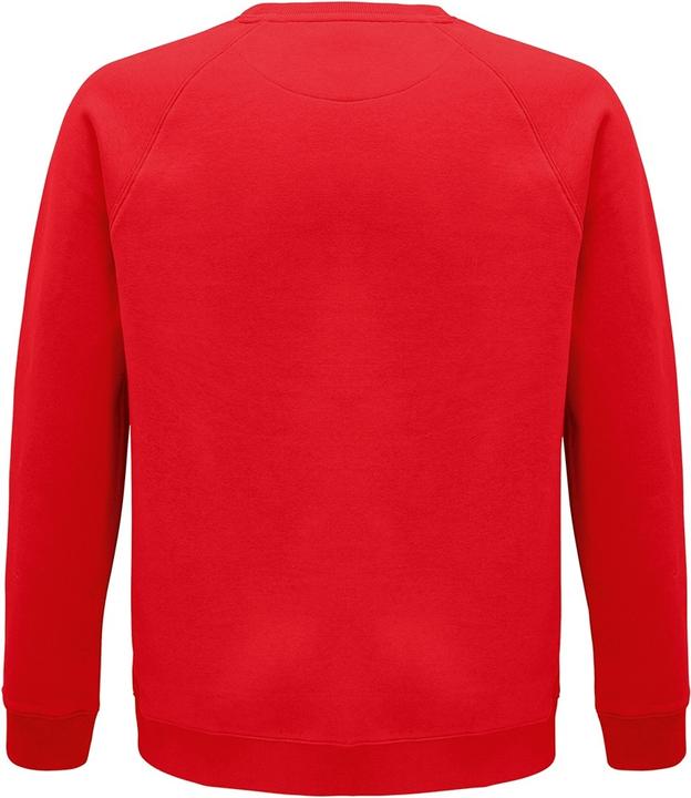 Immagine prodotto Sols Felpa Space in cotone organico con maniche raglan (M)