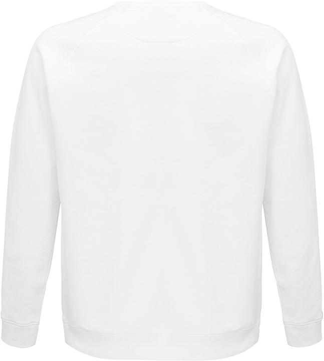 Immagine prodotto Sols Felpa Space in cotone organico con maniche raglan (M)