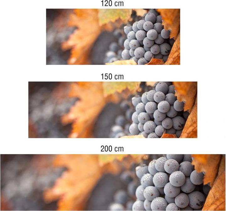 Produktbild Trenddeko Wein im Herbst (50 x 200 cm)