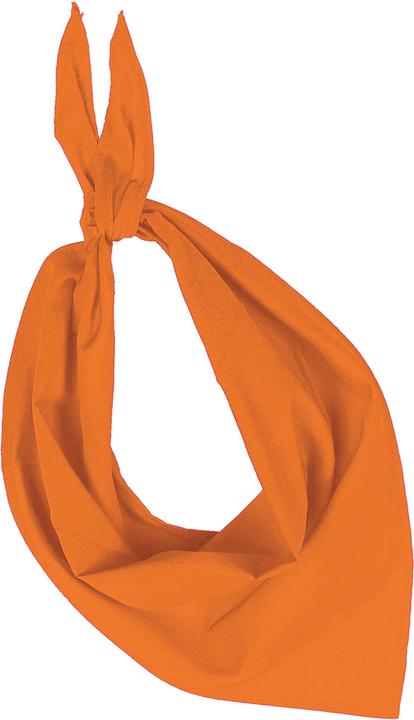 Immagine prodotto K-up bandana fiesta