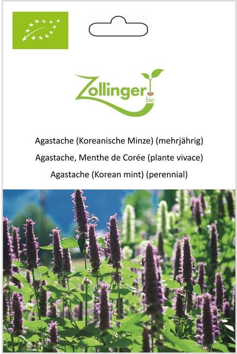 Image du produit Zollinger Bio Agastache (Menthe de Corée) (plante vivace) (Germes)