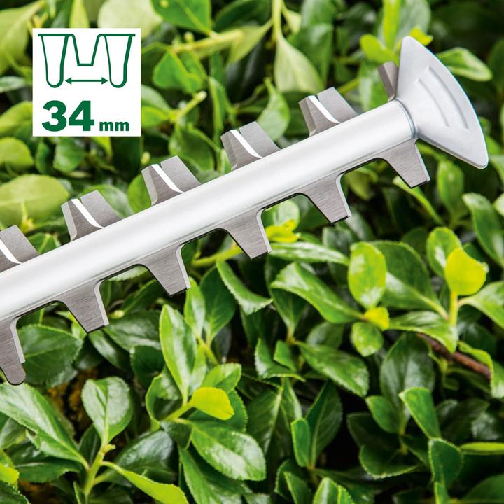 Produktbild Bosch Home & Garden AdvancedHedgeCut 70 (Elektroheckenschere)