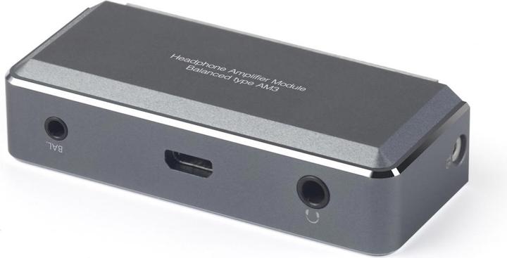 Actual product image FiiO Am3a