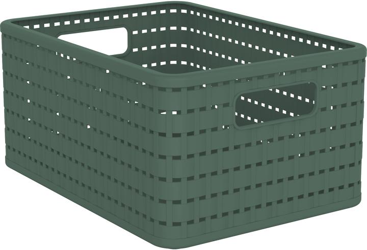 Rotho Korb (1 x, 32.8 x 23.8 x 16 cm)