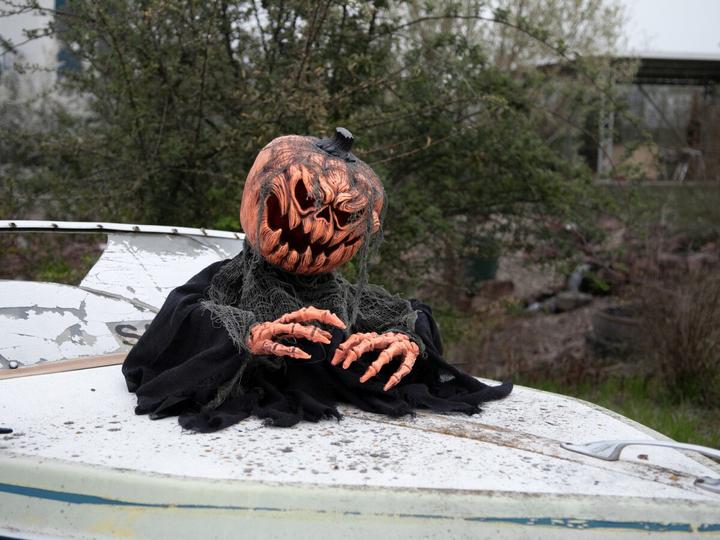 Actual product image Europalms Halloween pumpkin monster