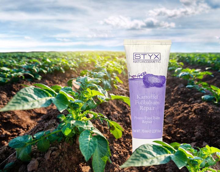 Image du produit Styx Baume pour les pieds à la pomme de terre Repair (Bain de pieds, 70 ml)