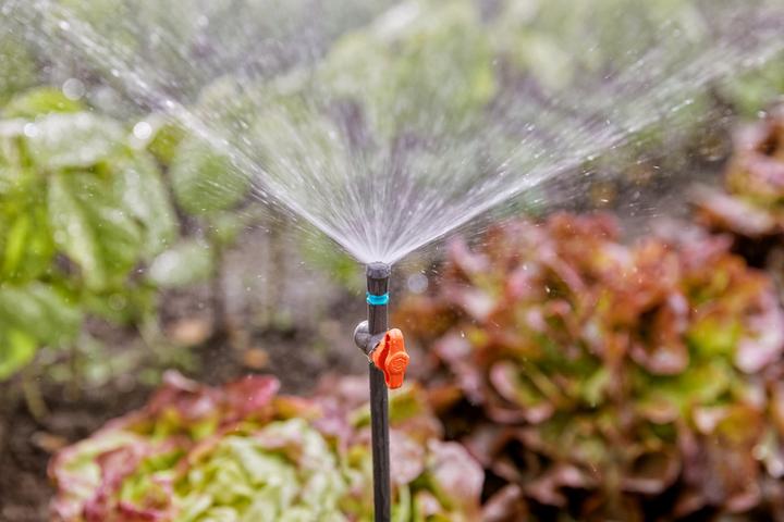 Actual product image Gardena Micro-Drip System (Drip hose + drip tube)