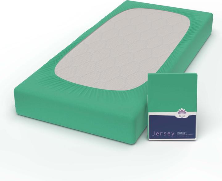 Image du produit Lotus Bettwaren Jersey Fix Comfort (140-160 x 200 cm)