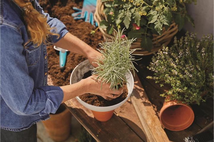 Immagine prodotto Gardena ClickUp! Fioriera (24.70 cm)