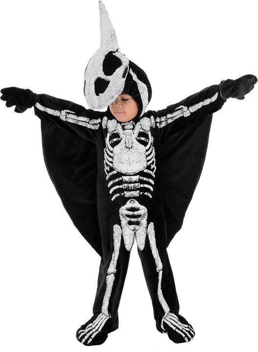 Produktbild Underwraps Flugsaurier Dinokostüm für Kinder (104, 106, 110, 116, 122)
