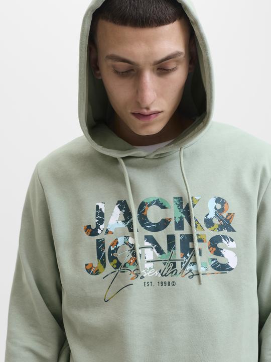 Actual product image Jack & Jones Logo Kapuzenpullover Kapuzenpullover (XS)