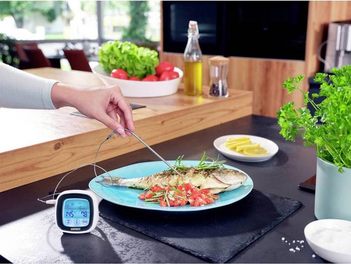 Actual product image Leifheit Roast and BBQ Thermometer