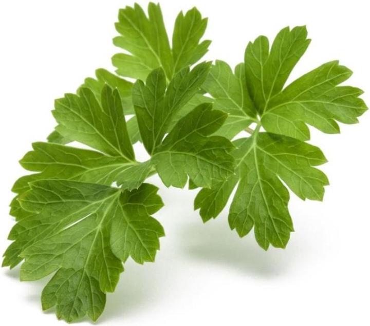 Actual product image Click and Grow Substrate capsule curly parsley (Herb seeds)