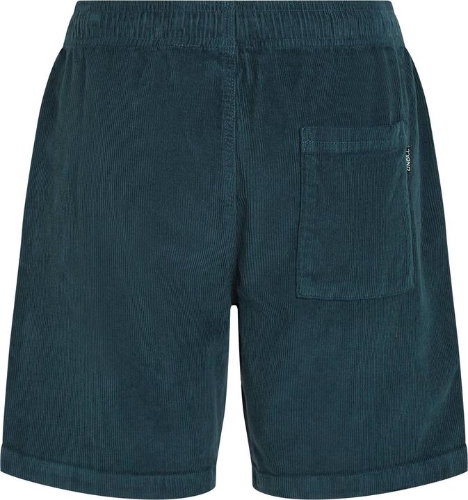 Actual product image O'Neill Cord Shorts (XL)
